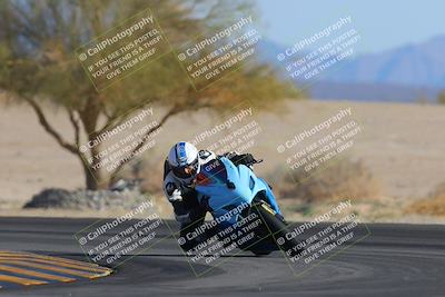 media/Feb-04-2023-SoCal Trackdays (Sat) [[8a776bf2c3]]/Turn 4 (Tree of Life 2pm)/